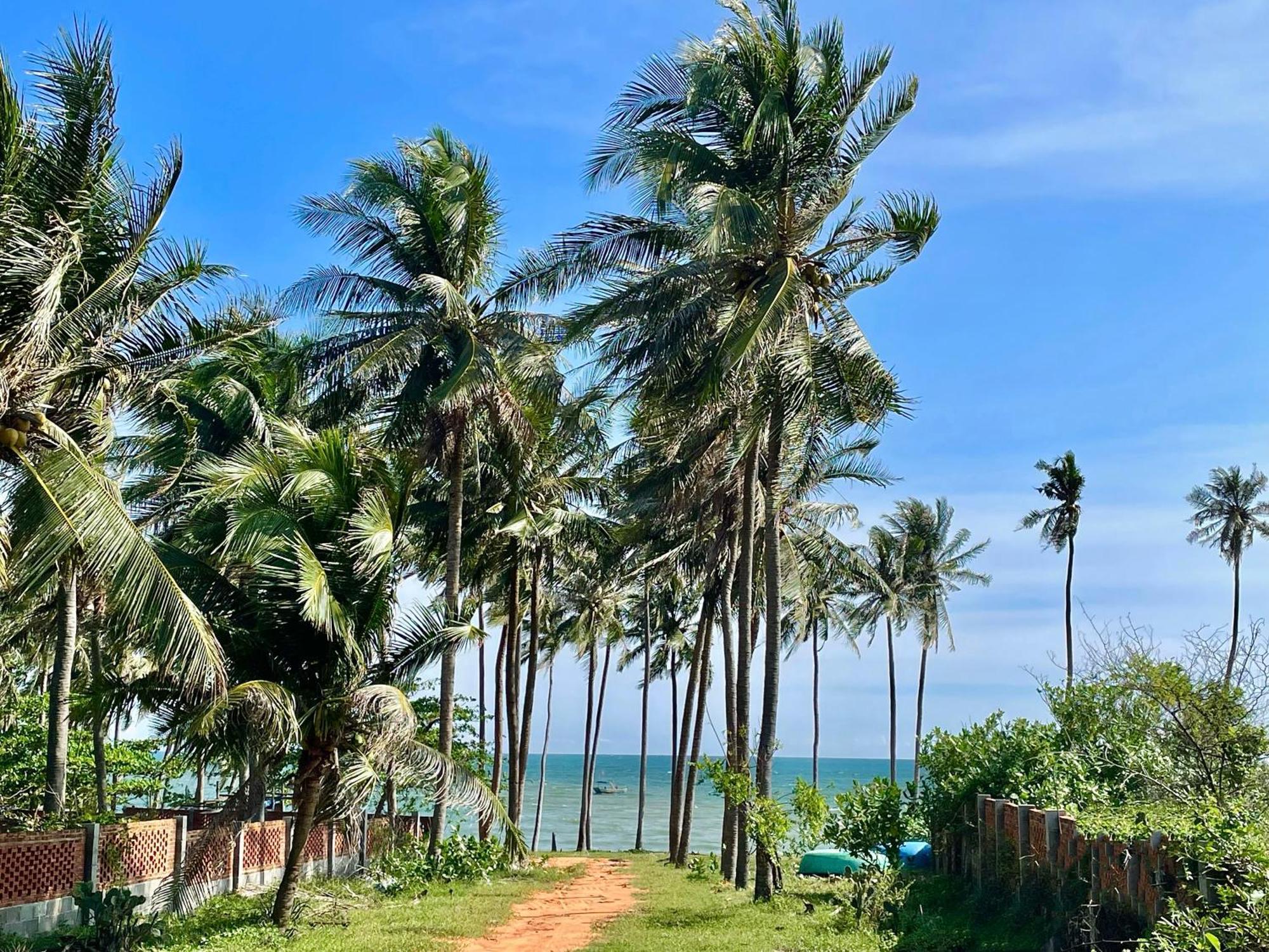 Moonbeam Homestay & Mini-Resort Mui Ne ファンティエット エクステリア 写真